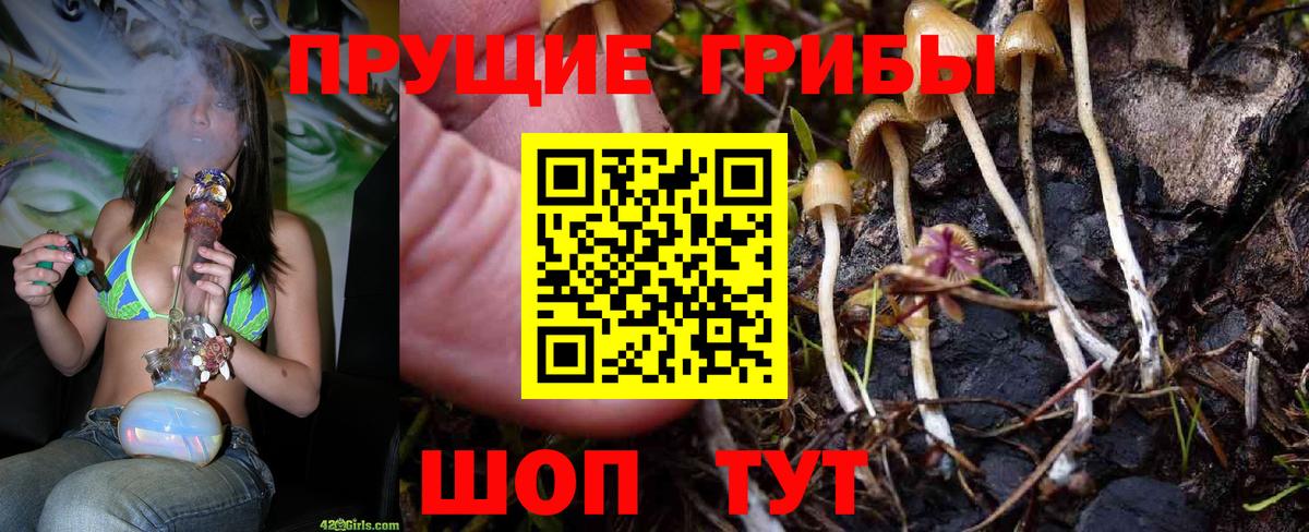 Биробиджан  Галлюциногенные грибы Psilocybine cubensis  Вход с VPN 