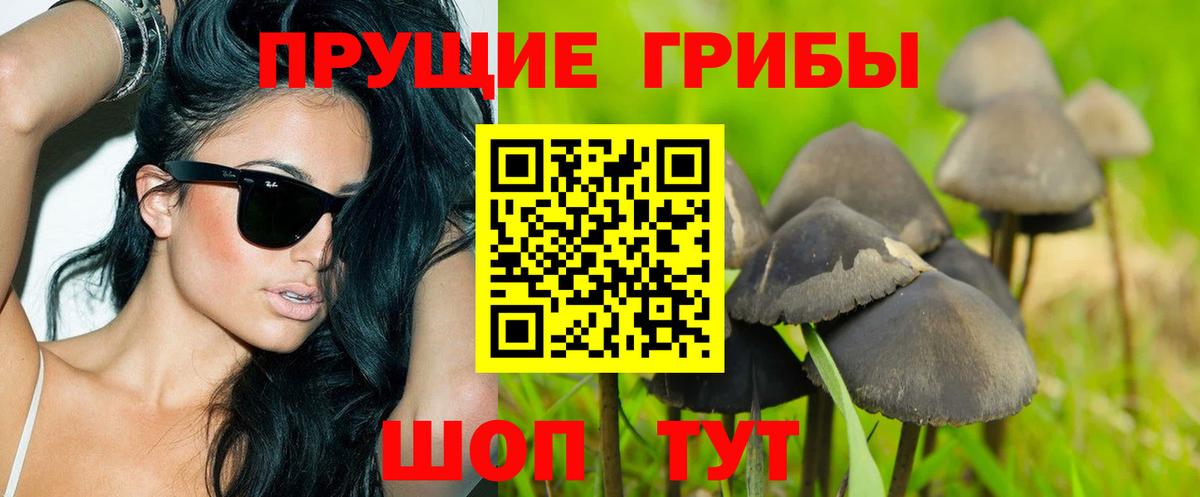 Галлюциногенные грибы MAGIC MUSHROOMS Биробиджан